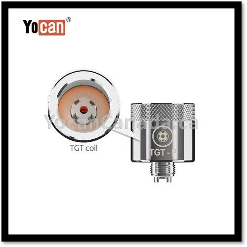 Pillar TGT Coil